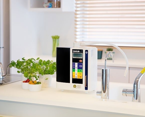 Ionizador de Agua Leveluk SD501 Ionizador de Agua Leveluk SD501